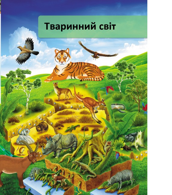 Книга Я і Світ навколо мене. Ілюстрована енциклопедія . Фото 11