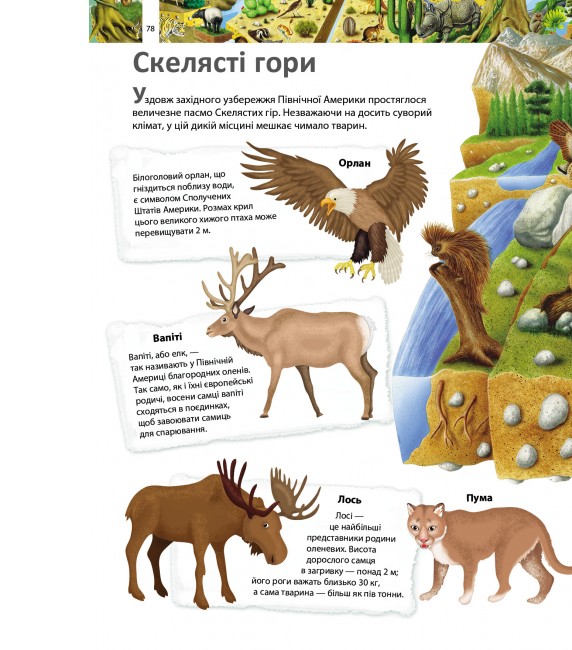Книга Я і Світ навколо мене. Ілюстрована енциклопедія . Фото 12