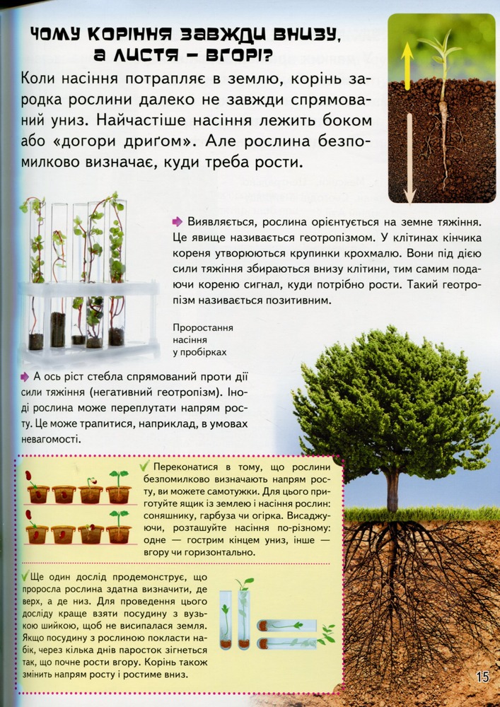 Велика дитяча енциклопедія у запитаннях і відповідях. Фото 19