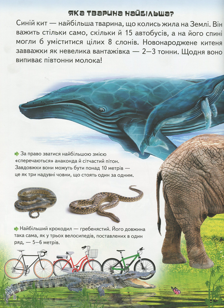 Велика енциклопедія чомусика у питаннях і відповідях. Фото 9