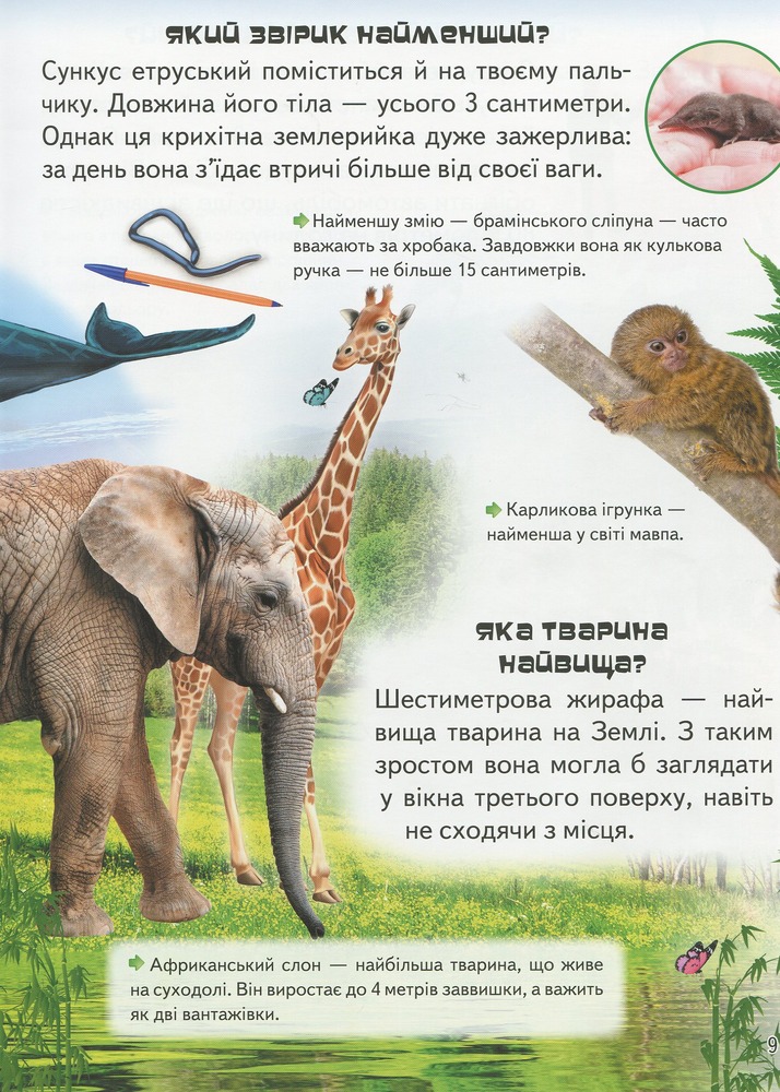 Велика енциклопедія чомусика у питаннях і відповідях. Фото 10