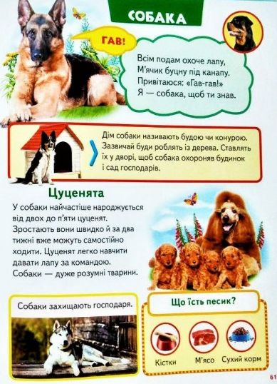 Велика книга знань для малюків. Фото 8