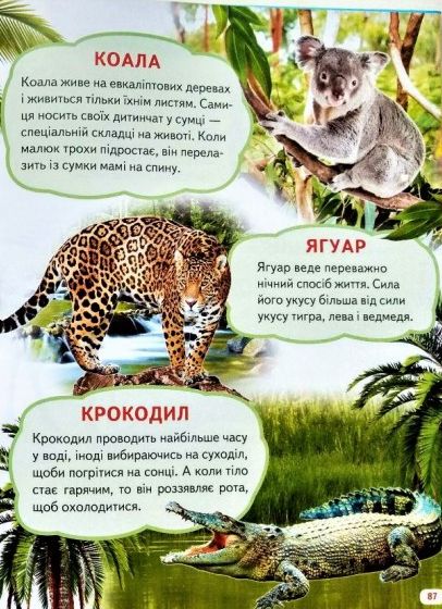 Велика книга знань для малюків. Фото 10