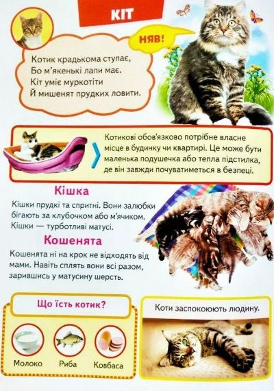 Велика книга знань для малюків. Фото 7