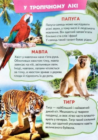 Велика книга знань для малюків. Фото 9