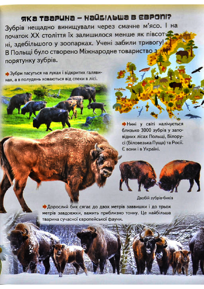 Книга Дивовижна енциклопедія про тварин у запитаннях і відповідях. Фото 16
