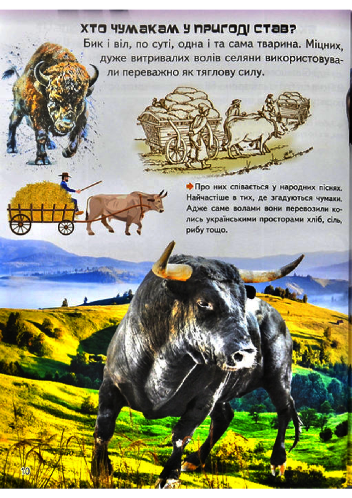 Книга Дивовижна енциклопедія про тварин у запитаннях і відповідях. Фото 17