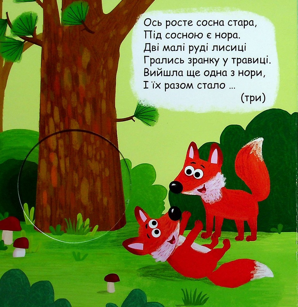 Книжка-схованка Яка цифра сховалась?. Фото 5