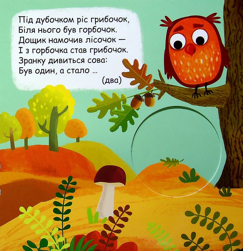 Книжка-схованка Яка цифра сховалась?. Фото 4