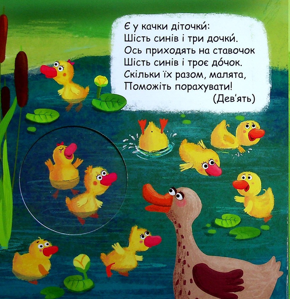 Книжка-схованка Яка цифра сховалась?. Фото 11