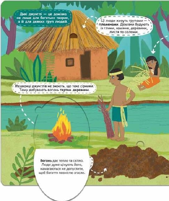 Книга Загадкові джунглі та їхні мешканці. Фото 5