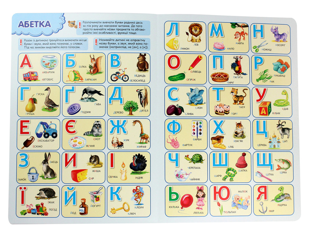 Школа Всезнатика. Фото 4