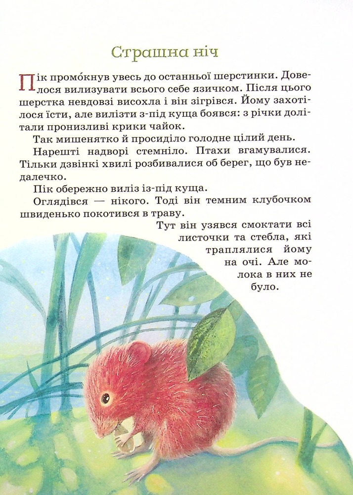 Книга Оповідання та казки про тварин. Фото 10