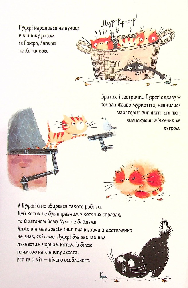 Книга Пуффі та Брунільда. Трішки чарів - Барбара Кантіні. Фото 3