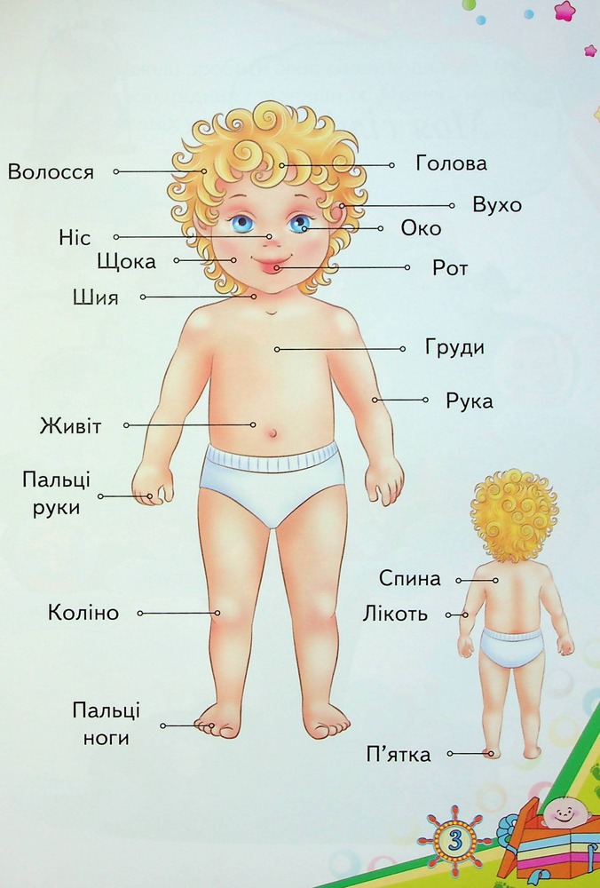 Книга Дитяча енциклопедія. Енциклопедія малюка. Фото 4