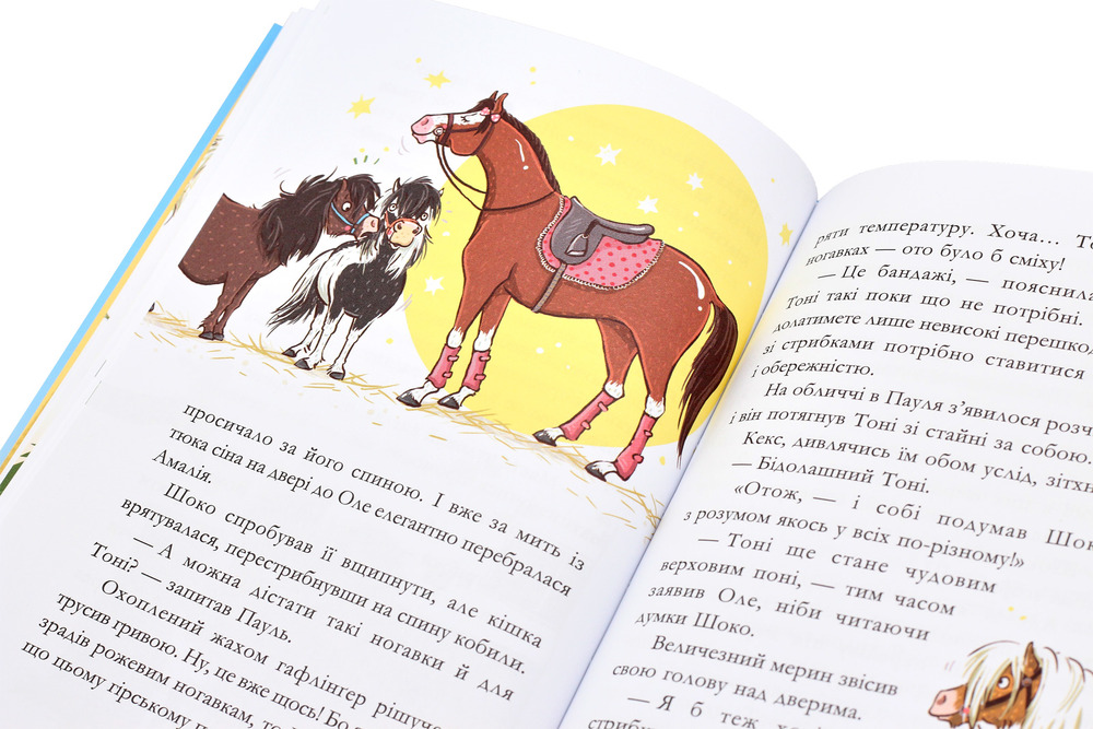 Книга Вівсяна банда. Нюх не підведе! - Суза Кольб. Фото 7