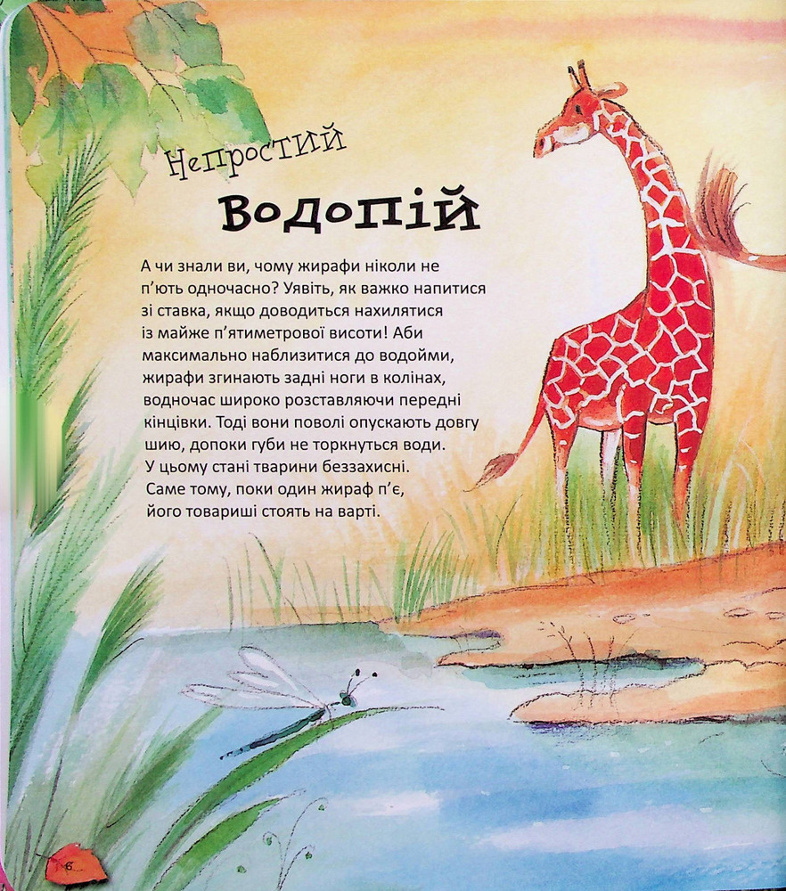 Книга Дивовижі тваринного світу - Алехандро Альґара. Фото 8