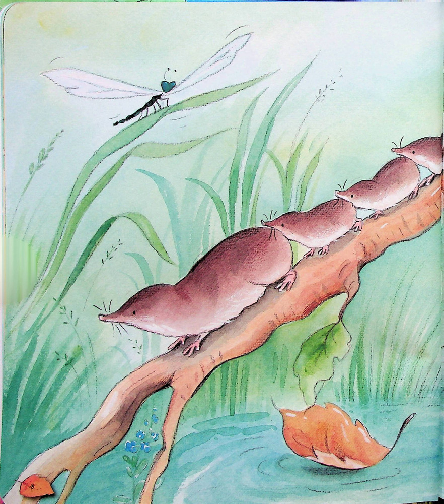 Книга Дивовижі тваринного світу - Алехандро Альґара. Фото 10