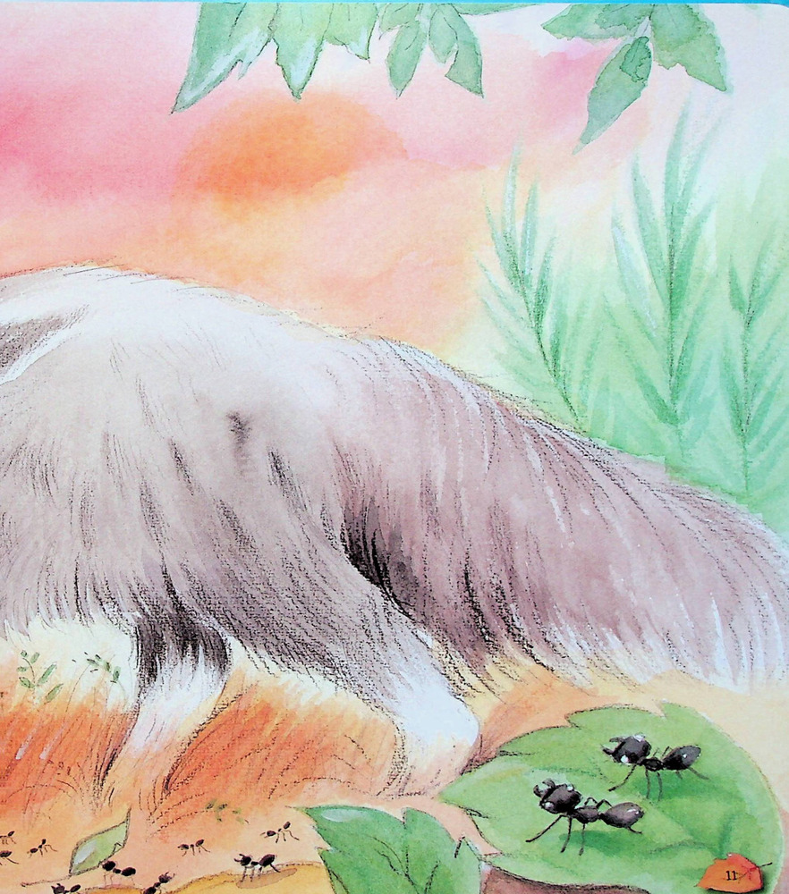 Книга Дивовижі тваринного світу - Алехандро Альґара. Фото 13