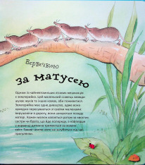 Книга Дивовижі тваринного світу - Алехандро Альґара. Фото 11
