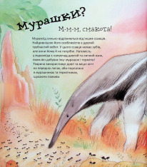 Книга Дивовижі тваринного світу - Алехандро Альґара. Фото 12