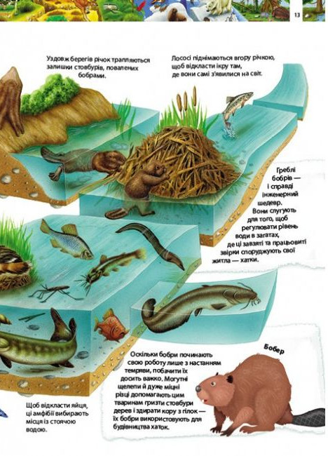 Книга Дитяча енциклопедія. Дивовижний світ тварин. Фото 3