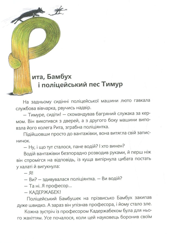 Книга Шкарпеткожери завжди поряд. Книга 3 - Павло Шрут,Галіна Міклінова. Фото 11