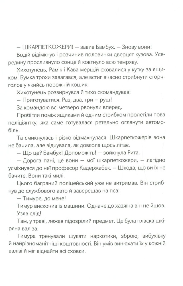 Книга Шкарпеткожери завжди поряд. Книга 3 - Павло Шрут,Галіна Міклінова. Фото 13