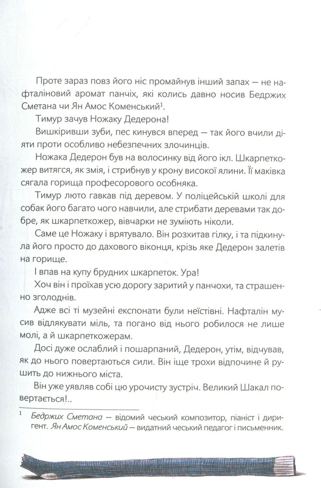 Книга Шкарпеткожери завжди поряд. Книга 3 - Павло Шрут,Галіна Міклінова. Фото 14
