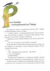 Книга Шкарпеткожери завжди поряд. Книга 3 - Павло Шрут,Галіна Міклінова. Фото 11