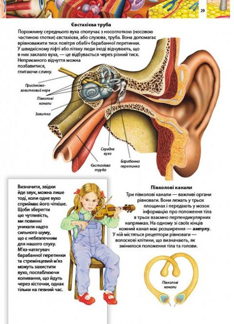 Книга Дитяча енциклопедія. Тіло людини. Фото 5