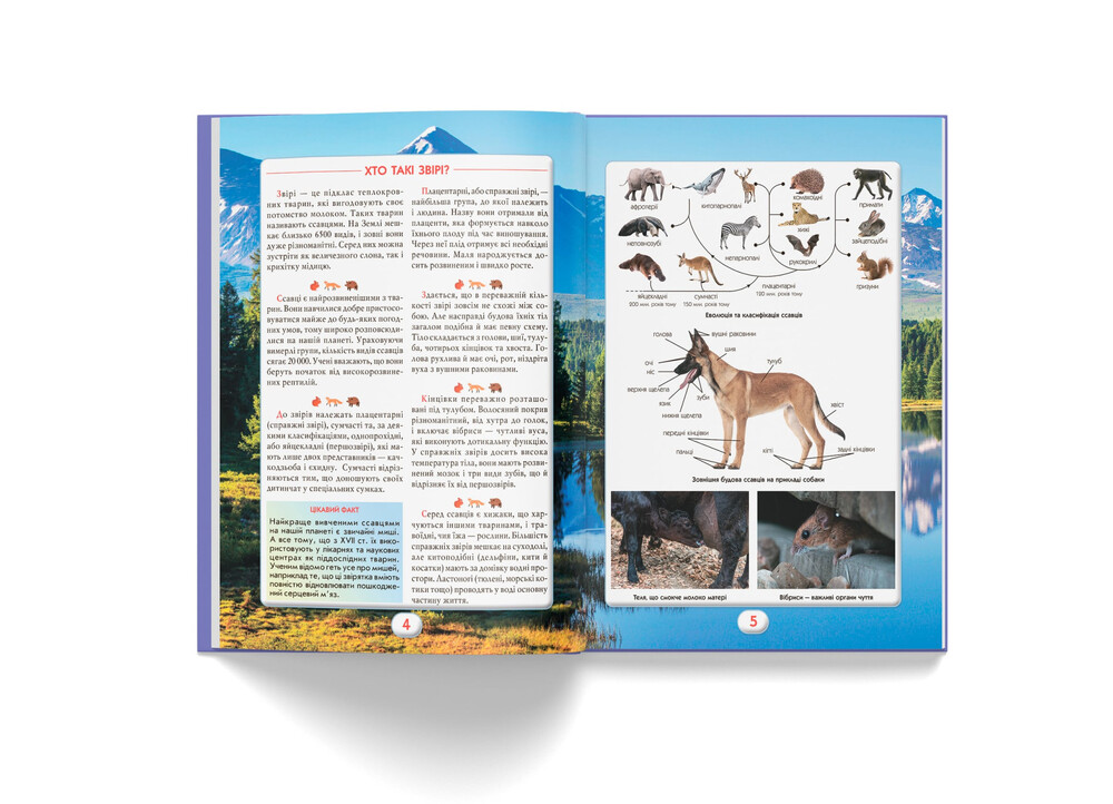 Книга Ви маєте це знати. Світ звірів. Фото 5