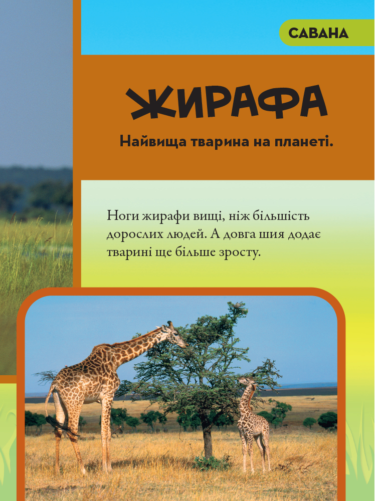 Книга National Geographic. Моя перша енциклопедія. Тварини. Фото 6