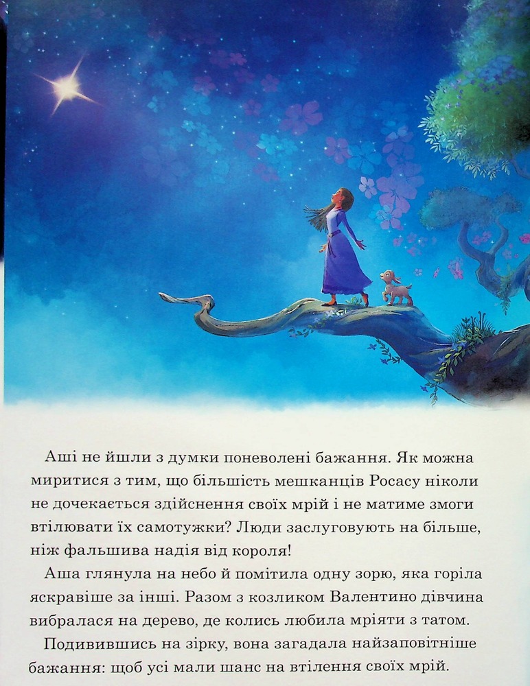 Книга Магічна колекція. Бажання. Фото 11