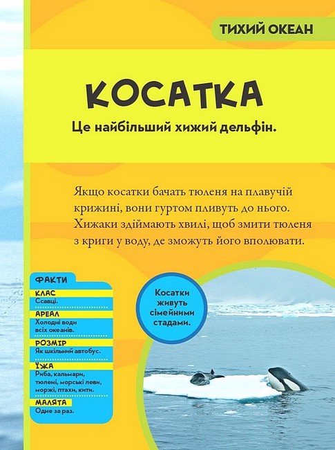 Книга National Geographic. Моя перша енциклопедія. Океани. Фото 4