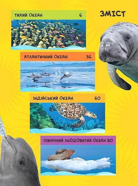 Книга National Geographic. Моя перша енциклопедія. Океани. Фото 3