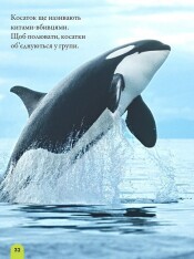 Книга National Geographic. Моя перша енциклопедія. Океани. Фото 5