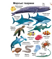Книга Моя перша книга. Перші слова. Тварини+англійська. Фото 11