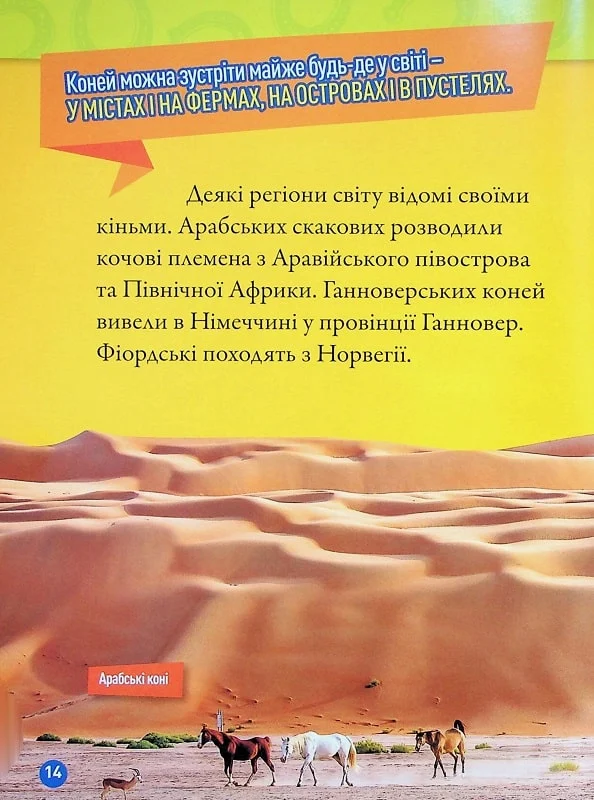 Книга Галопом! 100 цікавих фактів про коней. Фото 13