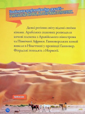 Книга Галопом! 100 цікавих фактів про коней. Фото 13