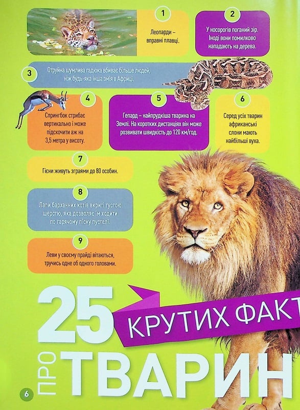 Книга Гррр! 100 цікавих фактів про тварин Африки. Фото 8