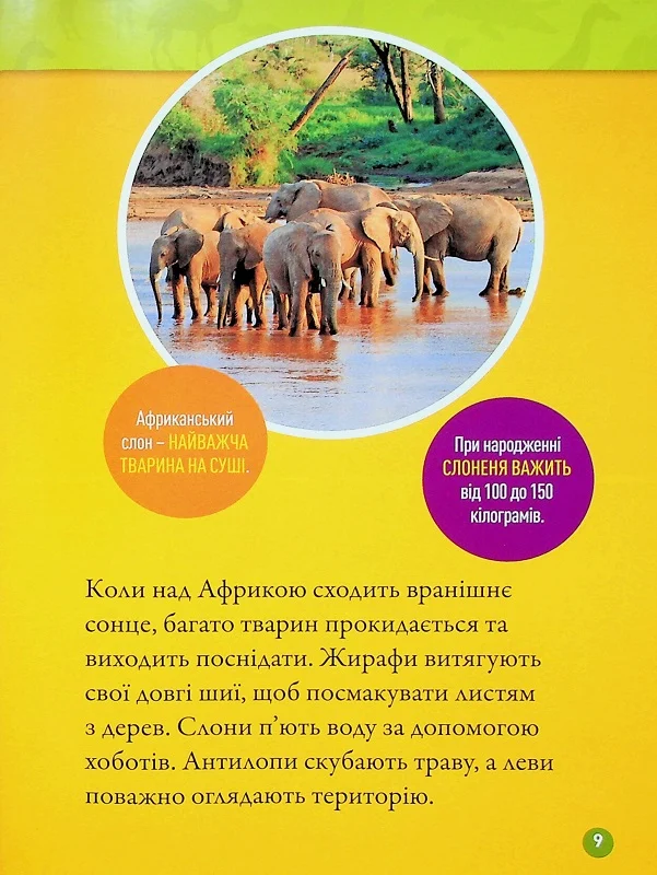 Книга Гррр! 100 цікавих фактів про тварин Африки. Фото 11