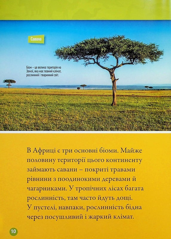 Книга Гррр! 100 цікавих фактів про тварин Африки. Фото 12
