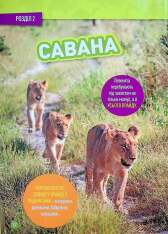 Книга Гррр! 100 цікавих фактів про тварин Африки. Фото 14