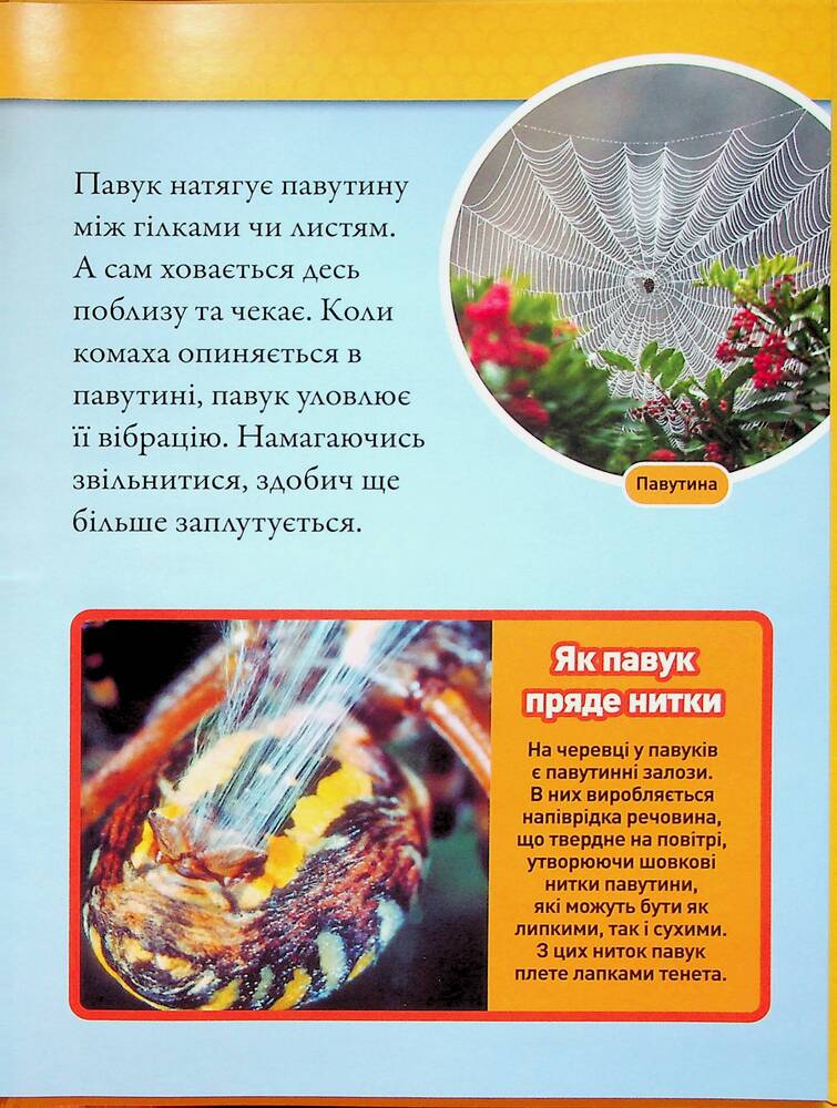 Книга Тварини-будівники. Фото 16