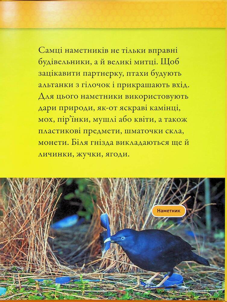 Книга Тварини-будівники. Фото 14
