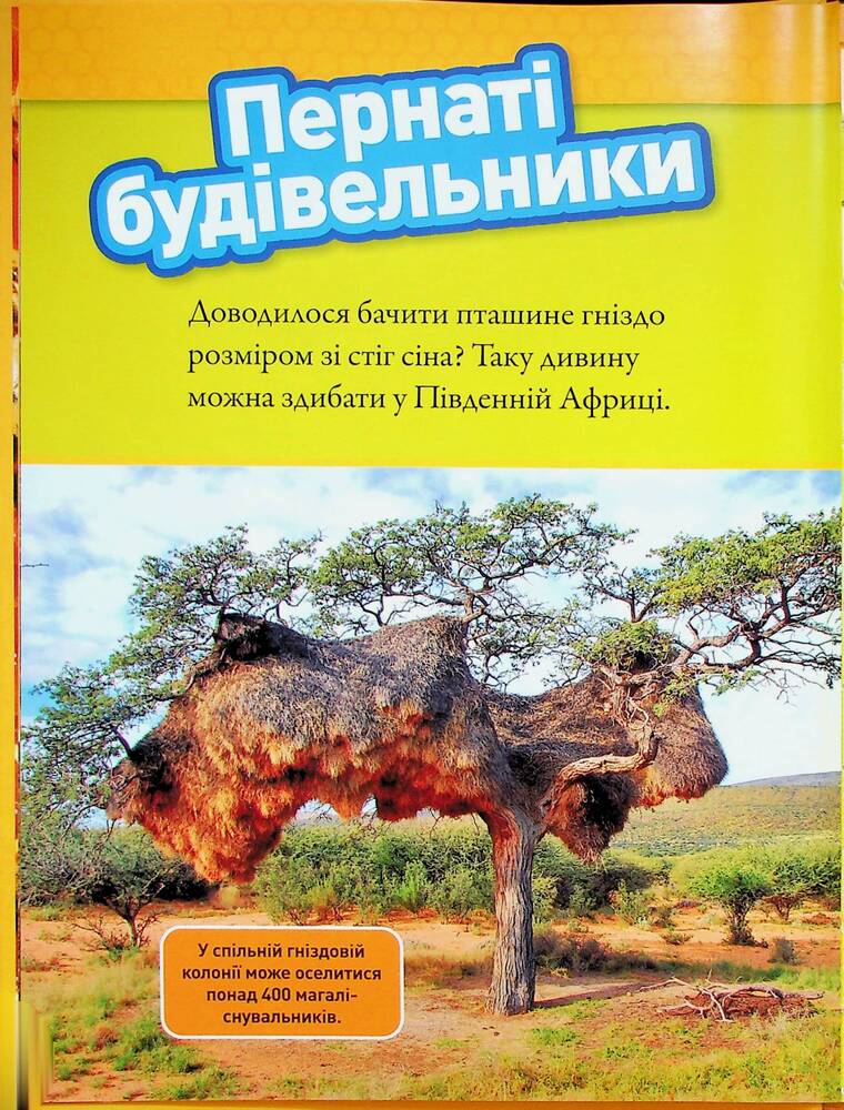 Книга Тварини-будівники. Фото 10