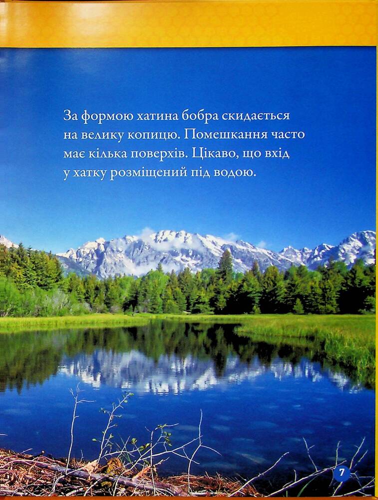 Книга Тварини-будівники. Фото 9