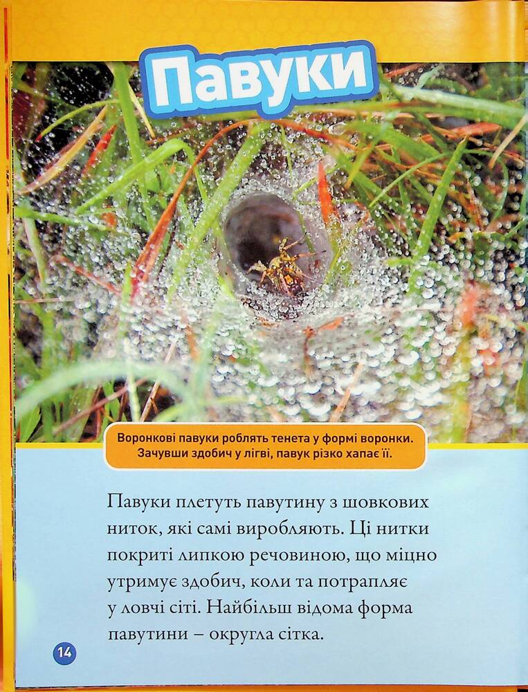 Книга Тварини-будівники. Фото 15