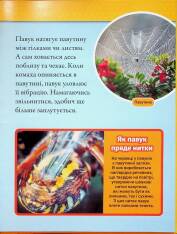 Книга Тварини-будівники. Фото 16
